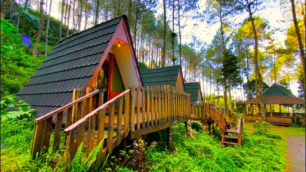 Telomoyo Nature Park: Menjelajahi Pesona Alam di Lereng Merapi